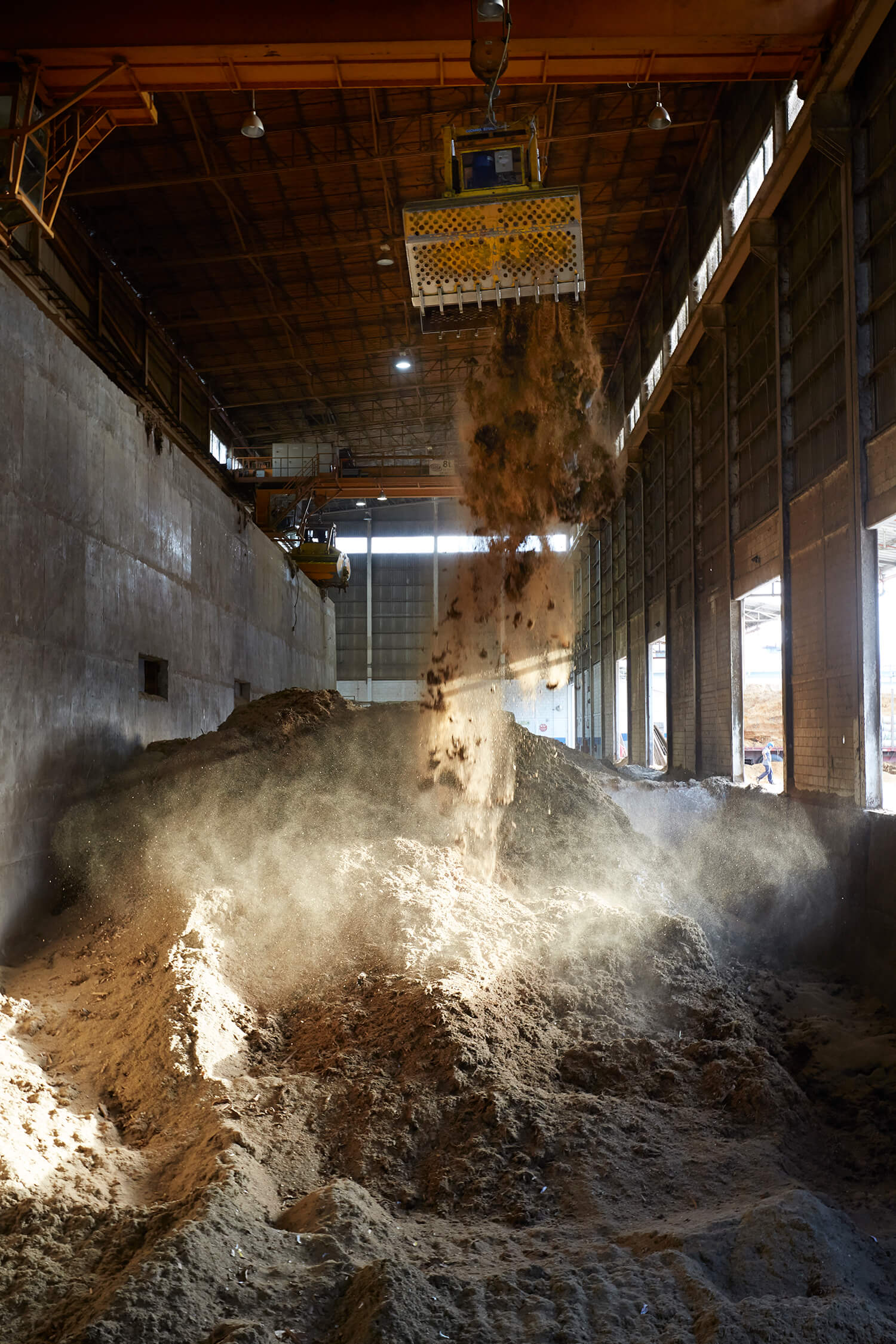Gildan_Biomass system