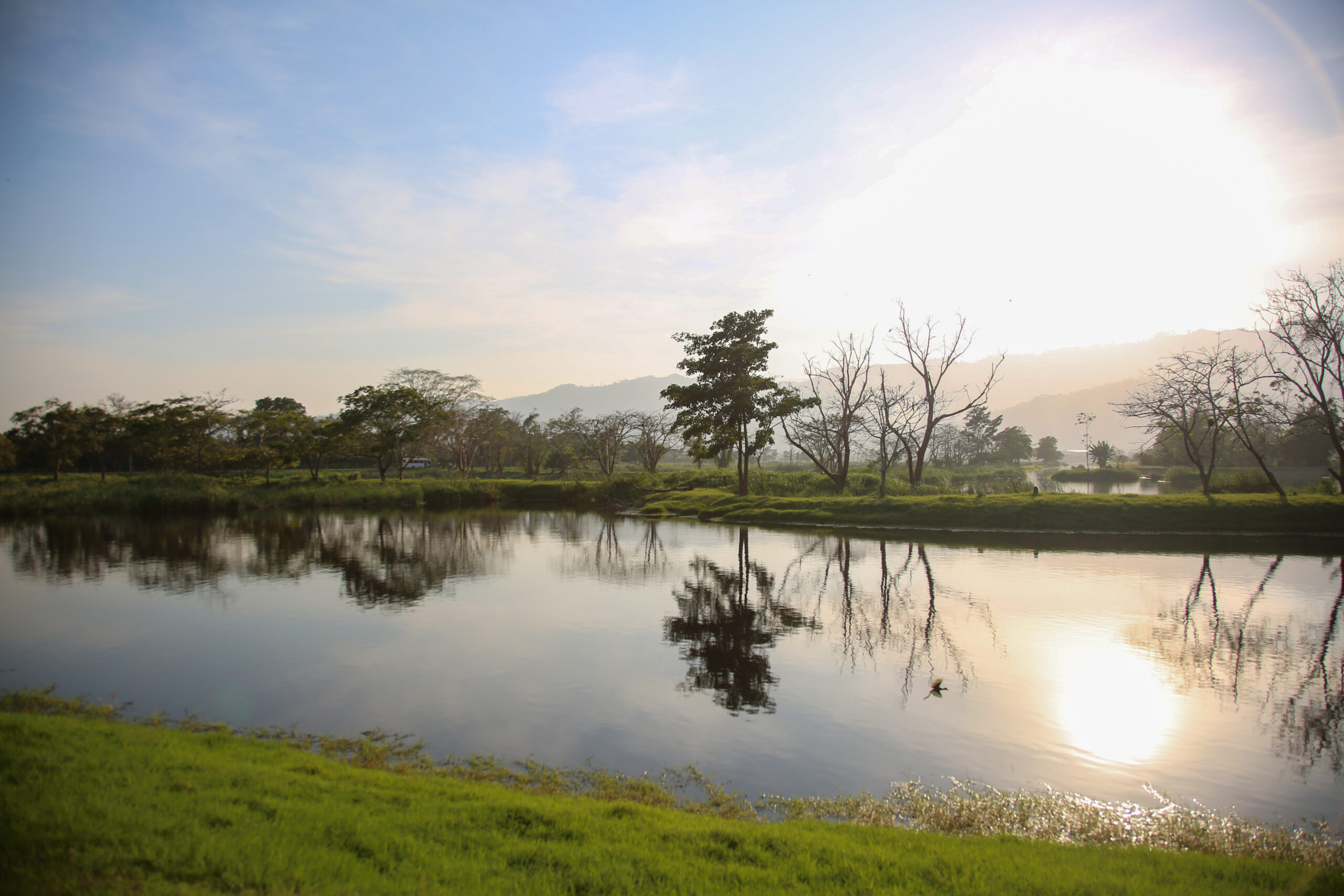 Gildan_Biotop_Honduras