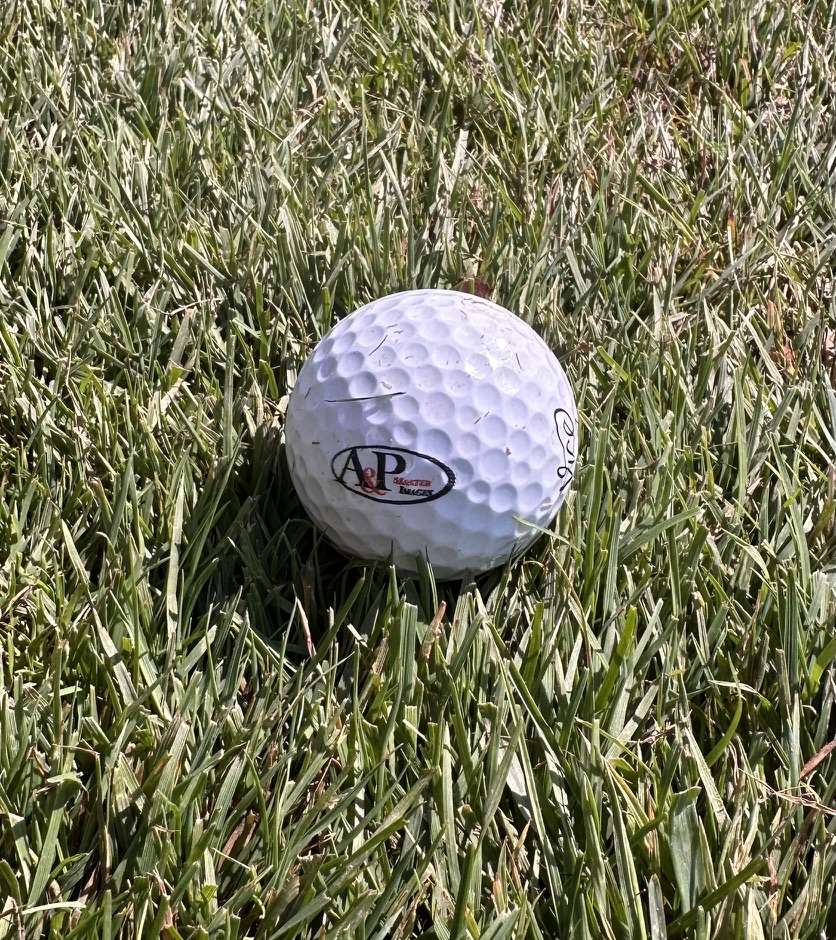 A branded golf ball laying in green grass