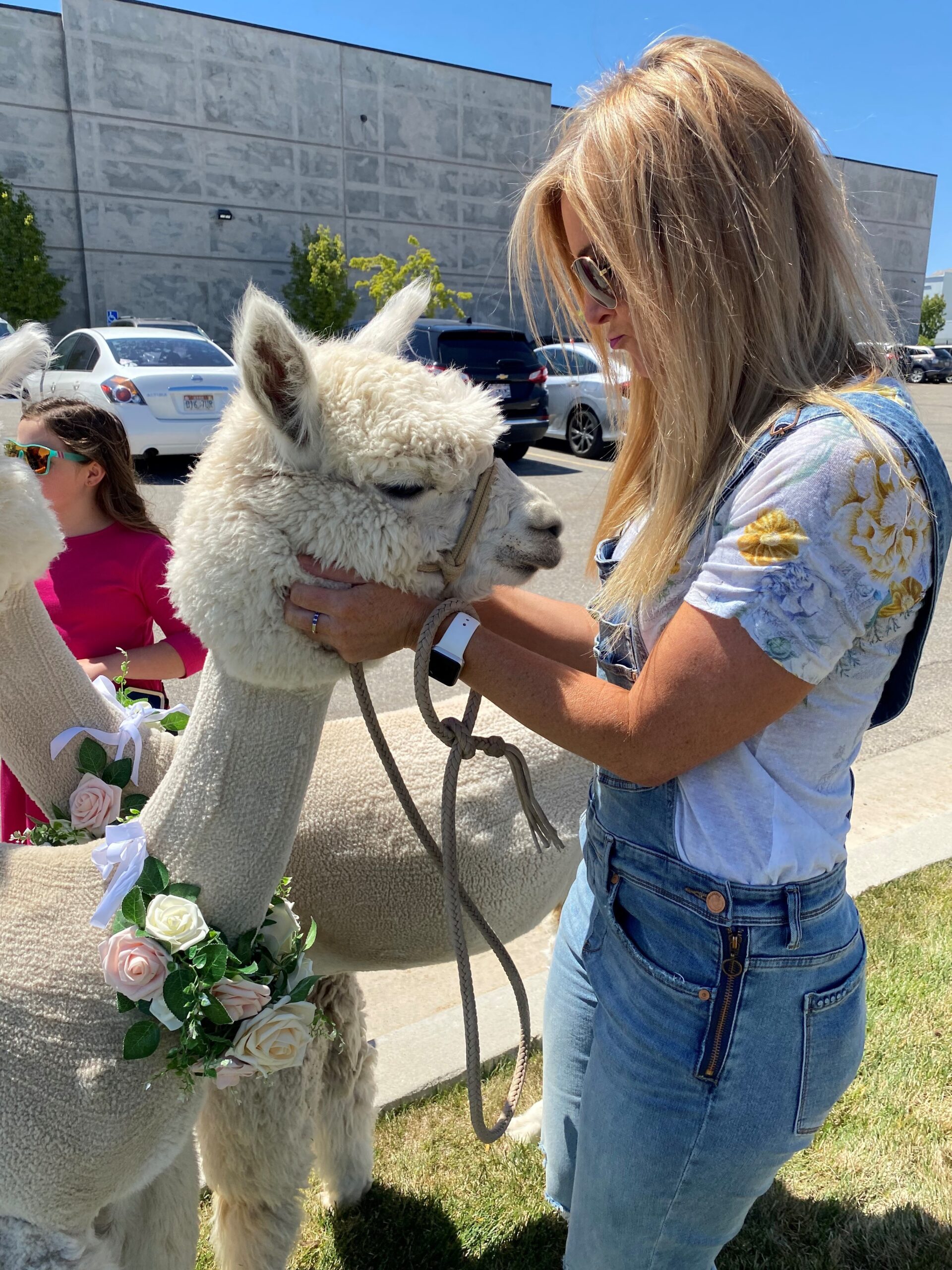 Brittany David llama