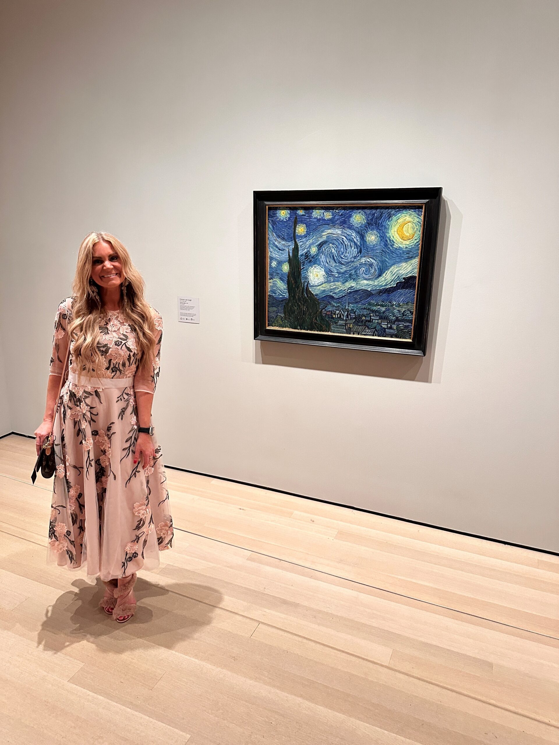 Brittany David museum of modern art