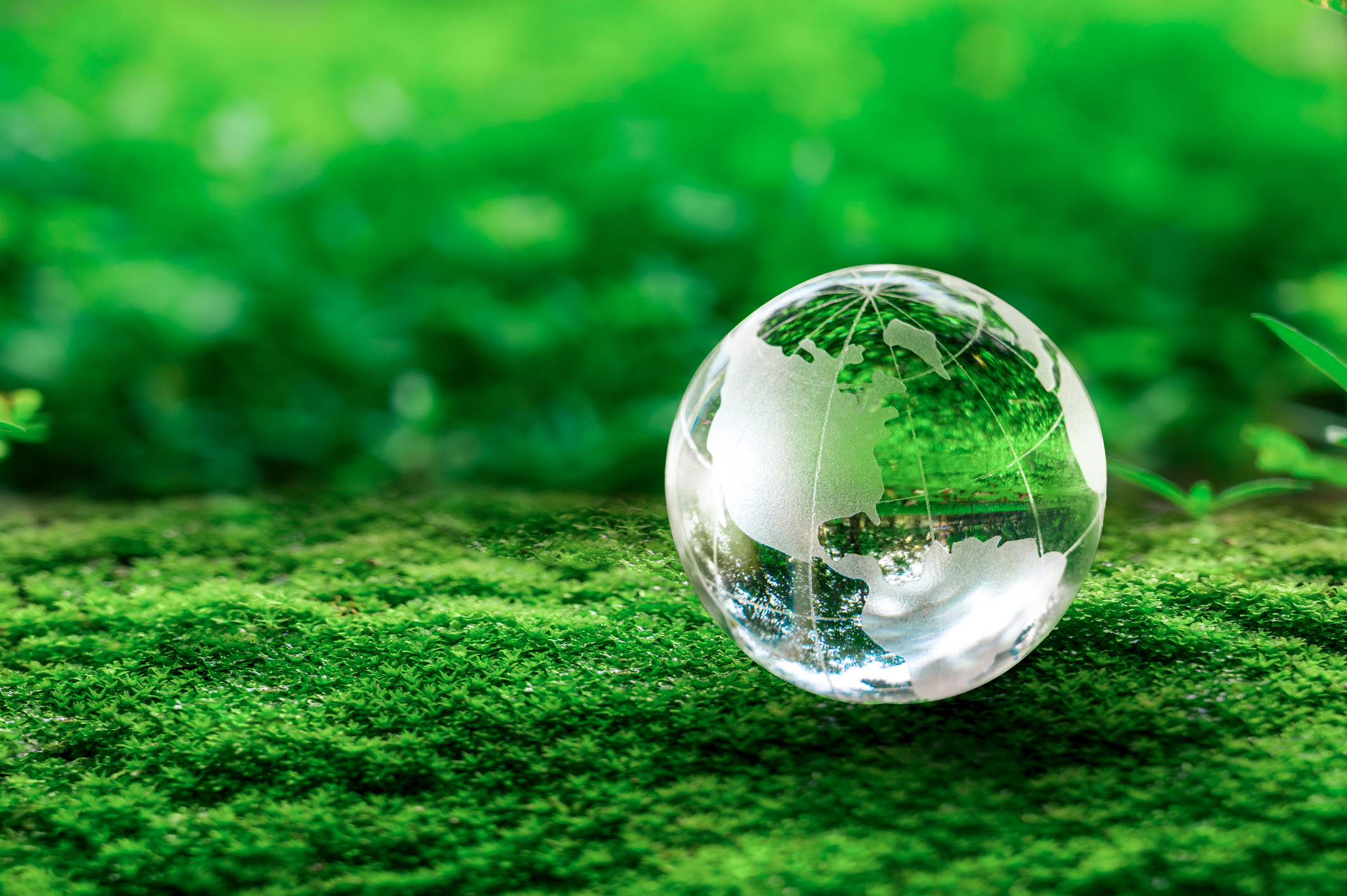A crystal globe laying on greenery