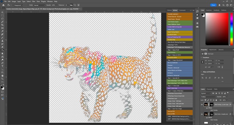screen shot of image editing software