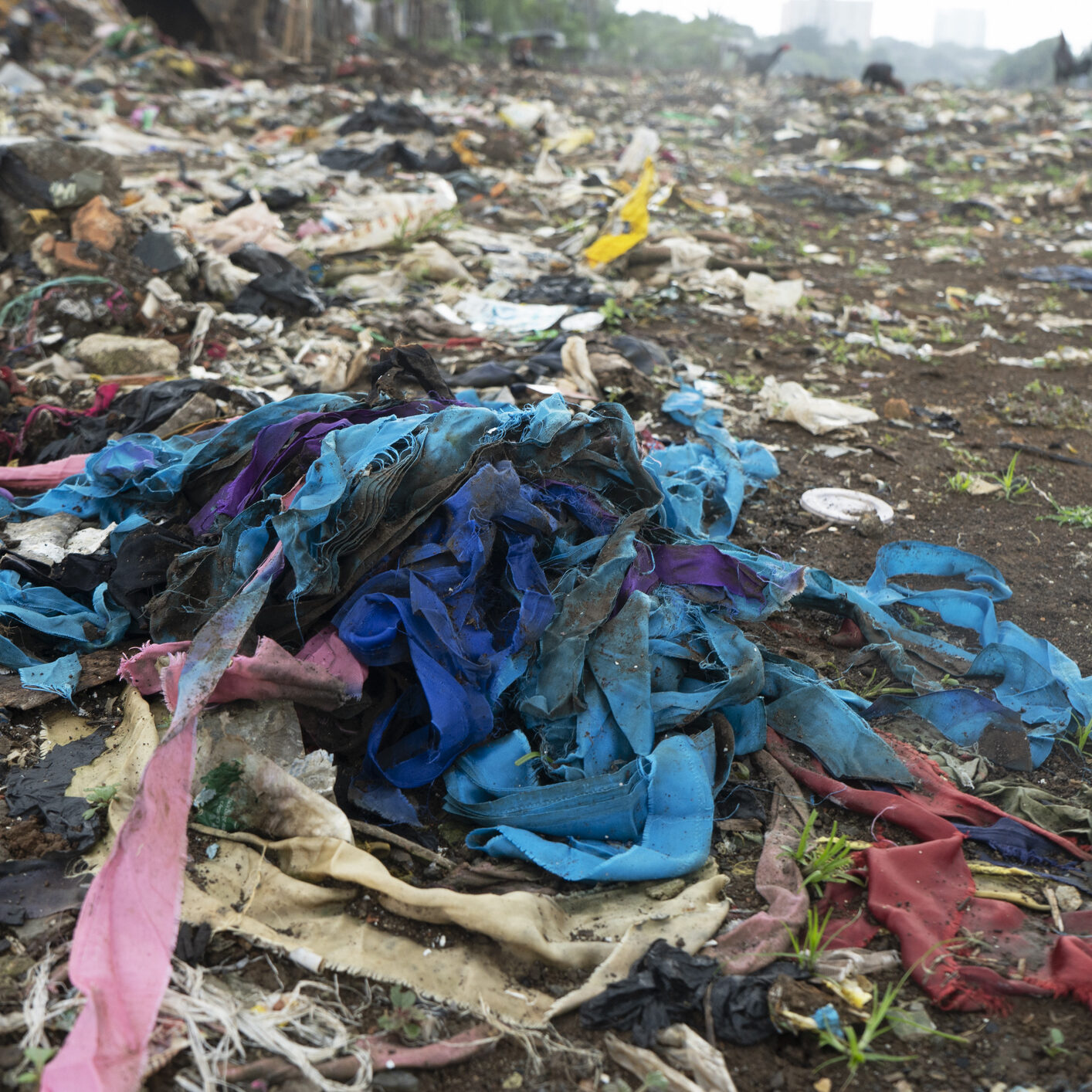 Fast Fashion Waste at land field