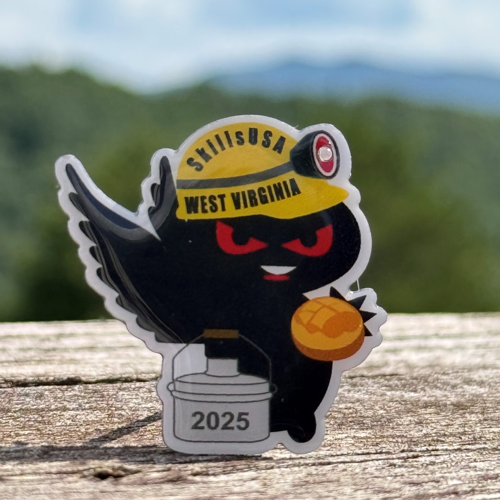 Madelyn Cook Pin Design